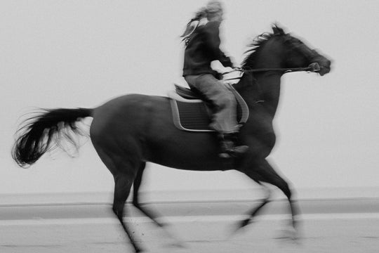 COLLAB - Cowboy Mystic Sweater x Nathalie JDB